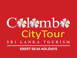 colombo city tour double decker bus